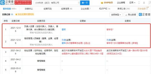 雷軍卸任小米科技武漢高管職務，聚焦戰略布局與數據處理業務發展
